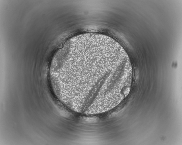 X0000090500645200708102242