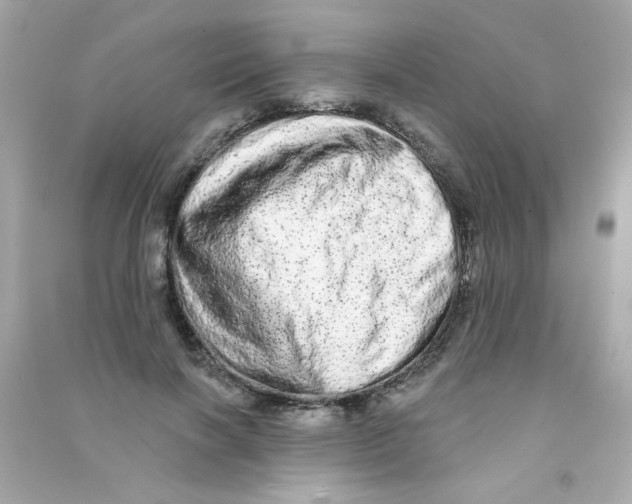 X0000090500646200708102242