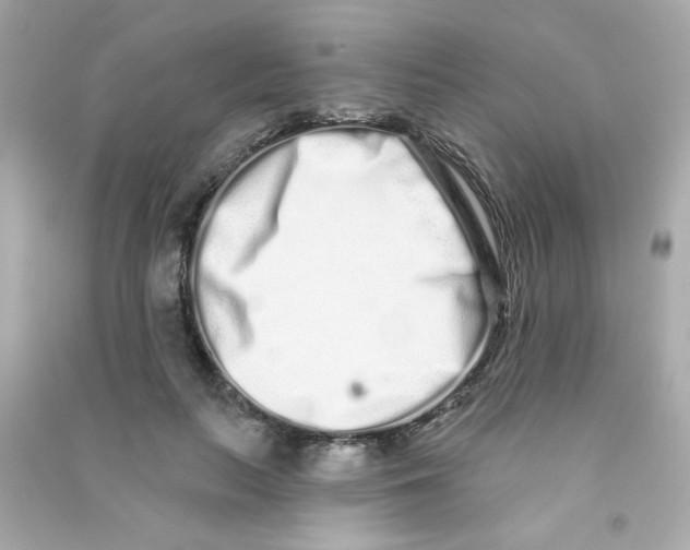 X0000090500647200708102242
