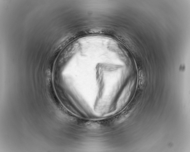 X0000090500648200708102242