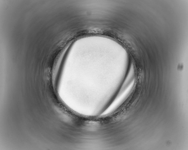 X0000090500649200708102242