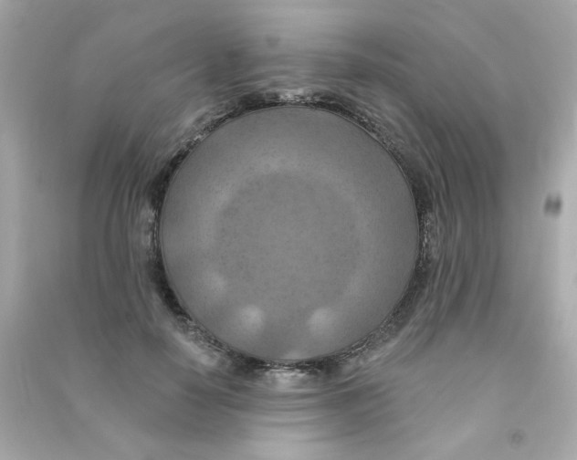 X0000090500650200708102242