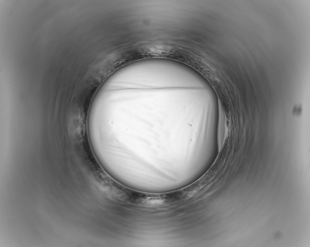 X0000090500651200708102242