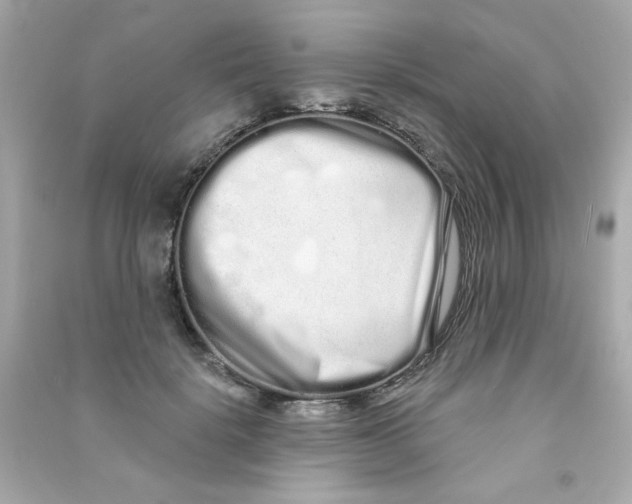 X0000090500652200708102242