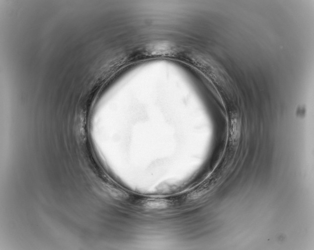 X0000090500653200708102242
