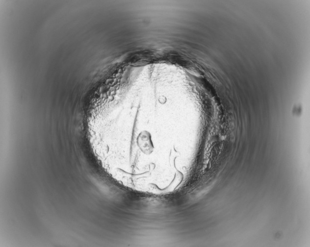X0000090500654200708102242