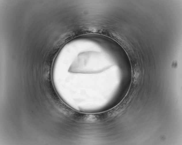 X0000090500656200708102242