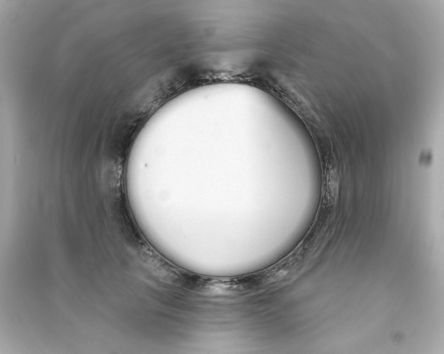 X0000090500657200708102242