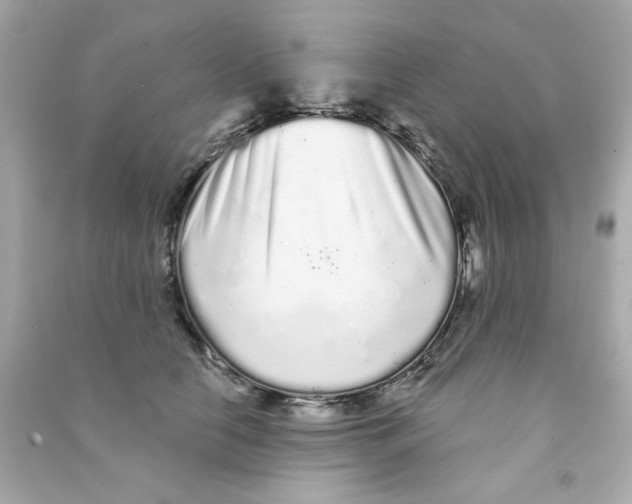 X0000090500658200708102242