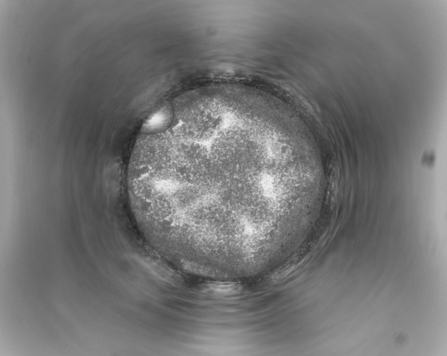 X0000090500659200708102242