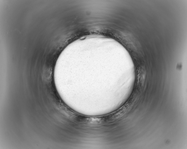 X0000090500660200708102242