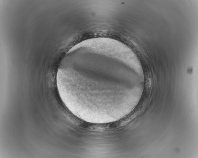 X0000090500661200708102242