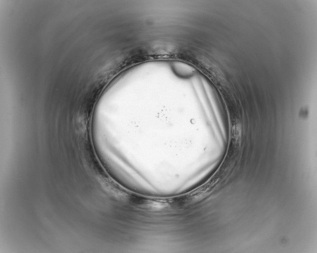 X0000090500662200708102242