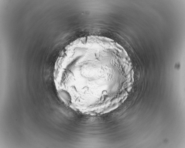 X0000090500663200708102242