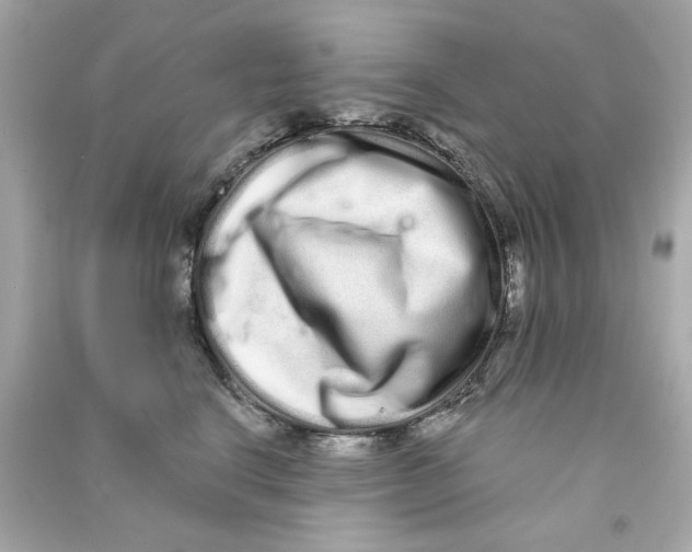 X0000090500664200708102242