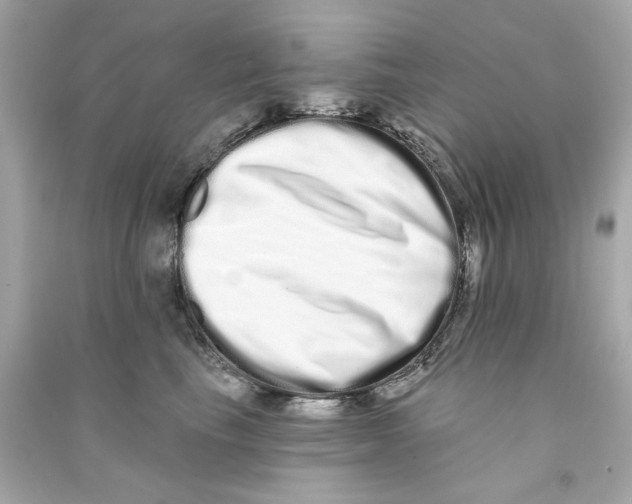 X0000090500665200708102242