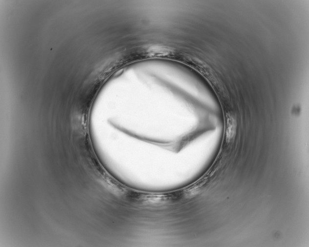 X0000090500666200708102242