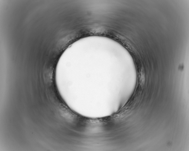 X0000090500668200708102242