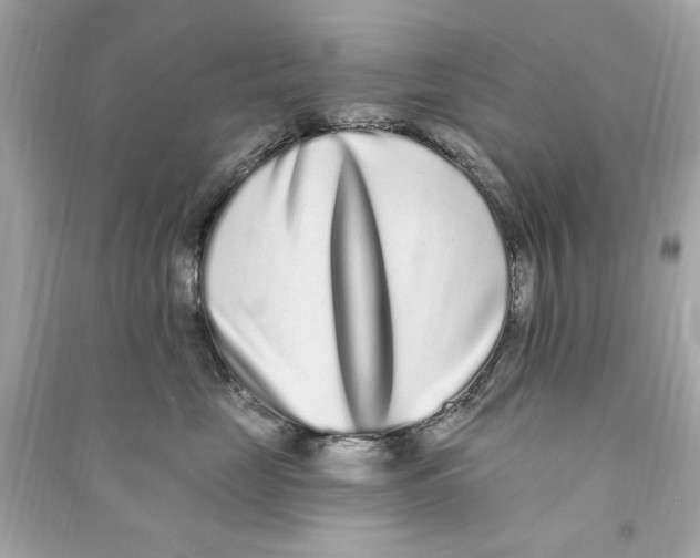 X0000090500669200708102242