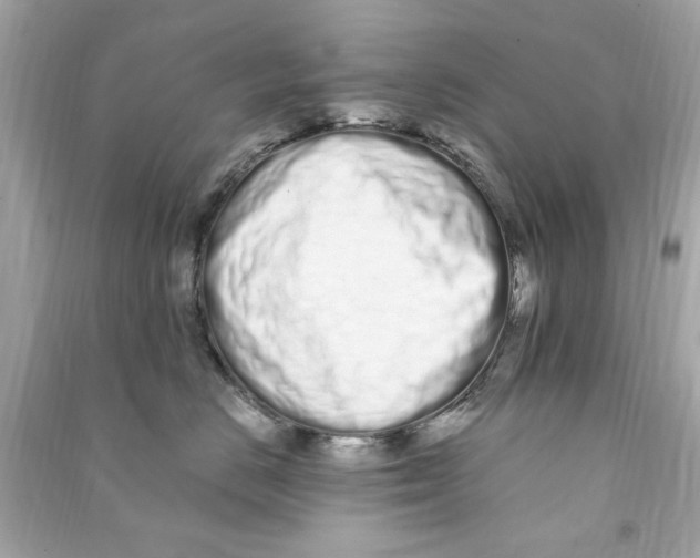 X0000090500670200708102242