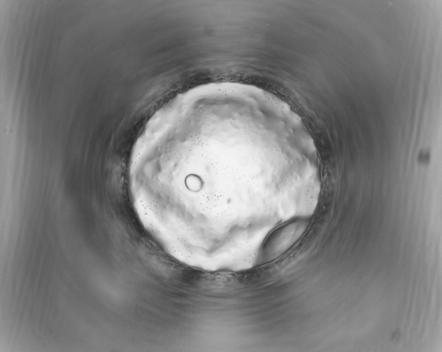 X0000090500671200708102242