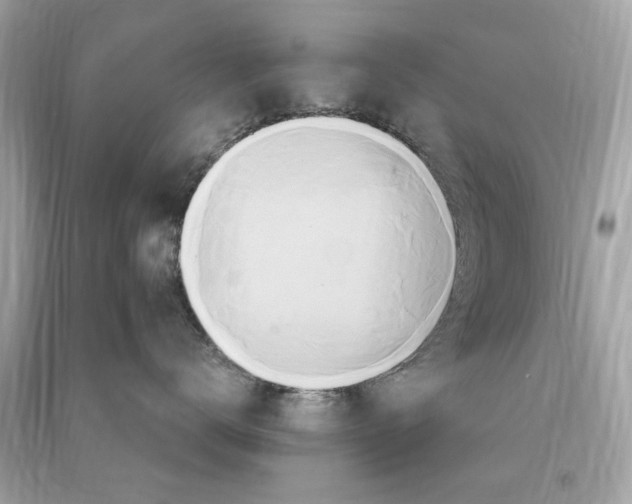 X0000090500672200708102242