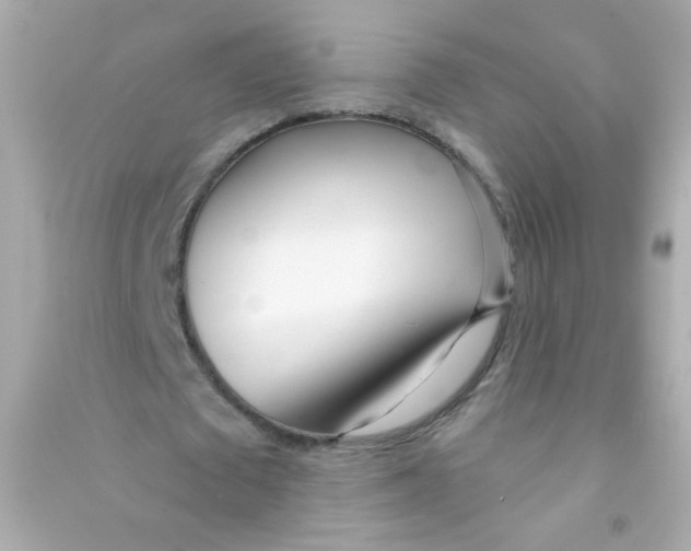 X0000090500673200708102241
