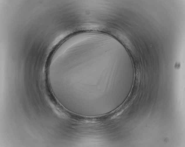 X0000090500674200708102241