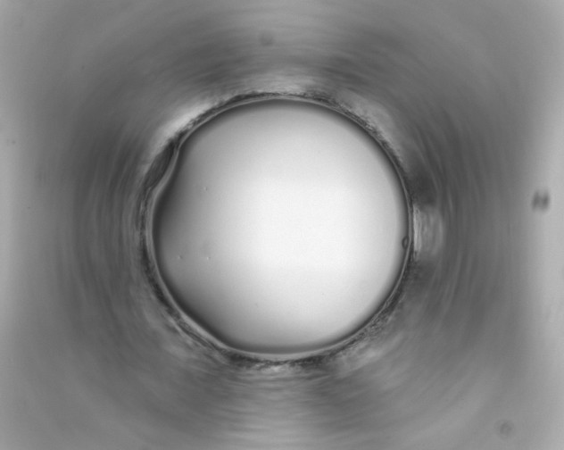 X0000090500675200708102241