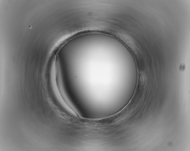 X0000090500676200708102241