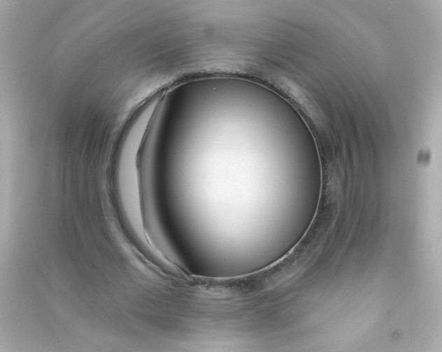X0000090500677200708102241