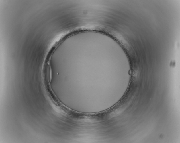 X0000090500678200708102241