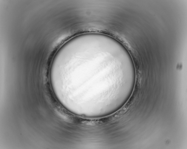 X0000090500679200708102241