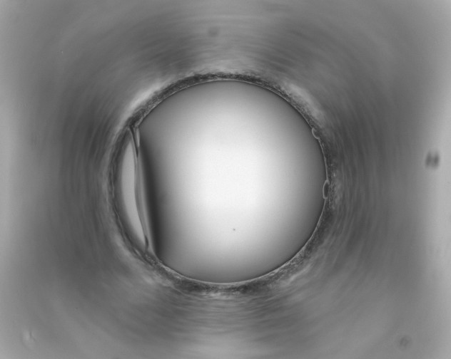 X0000090500680200708102241