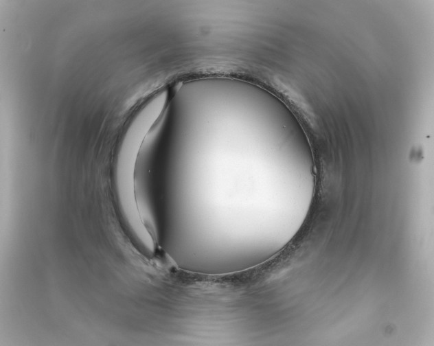X0000090500681200708102241