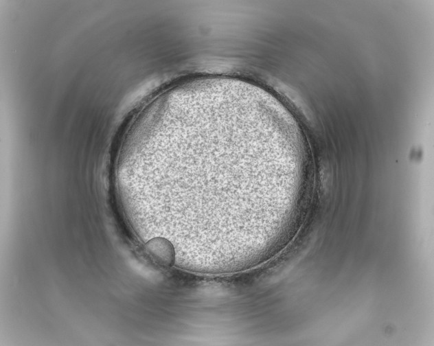 X0000090500682200708102241