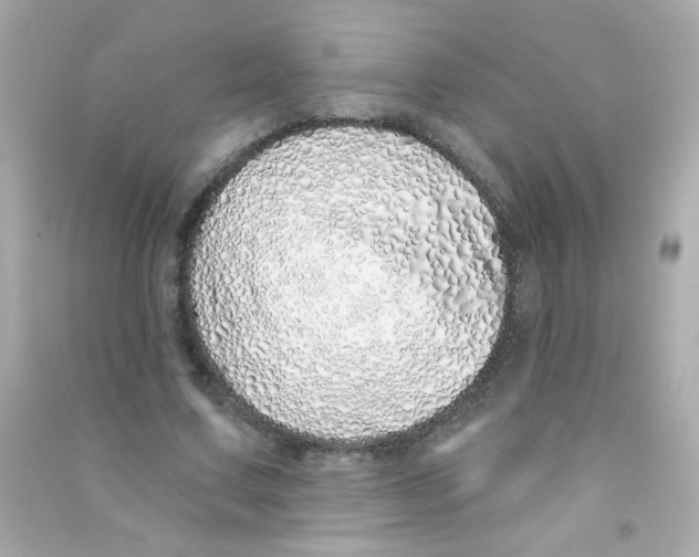 X0000090500683200708102241