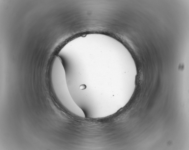 X0000090500684200708102241