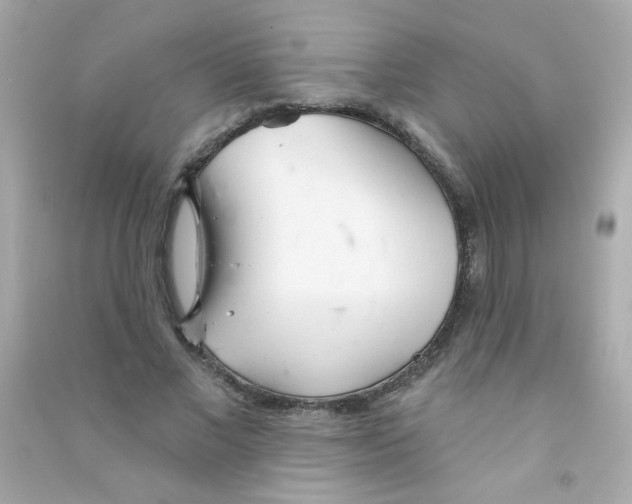 X0000090500685200708102241