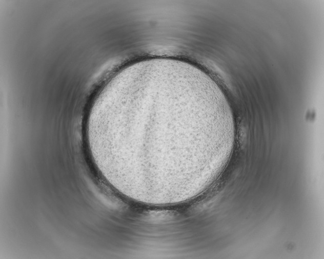 X0000090500686200708102241
