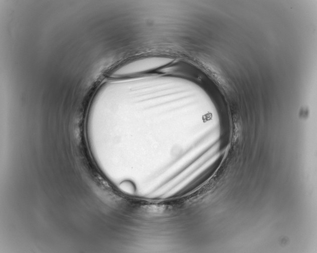 X0000090500687200708102241