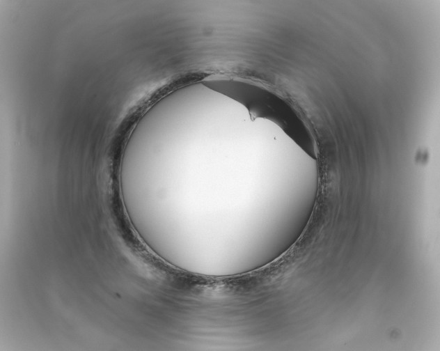 X0000090500688200708102241