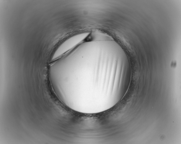 X0000090500689200708102241