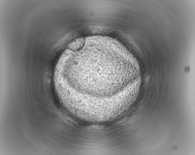 X0000090500691200708102241