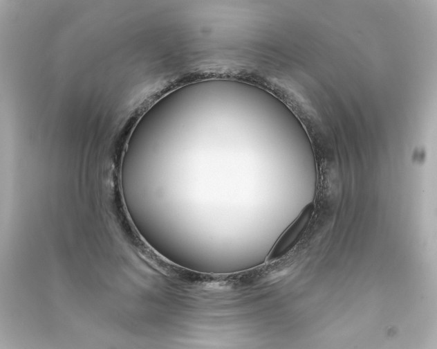 X0000090500692200708102241