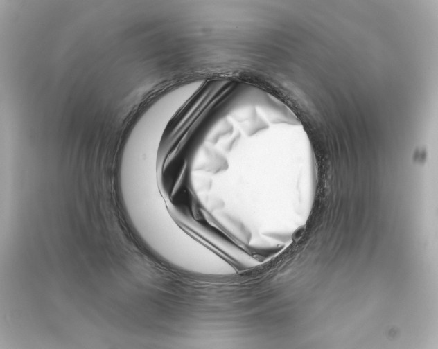 X0000090500693200708102241