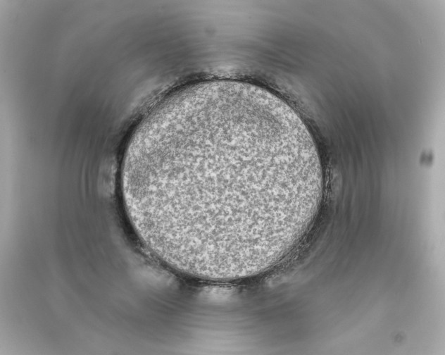 X0000090500694200708102241