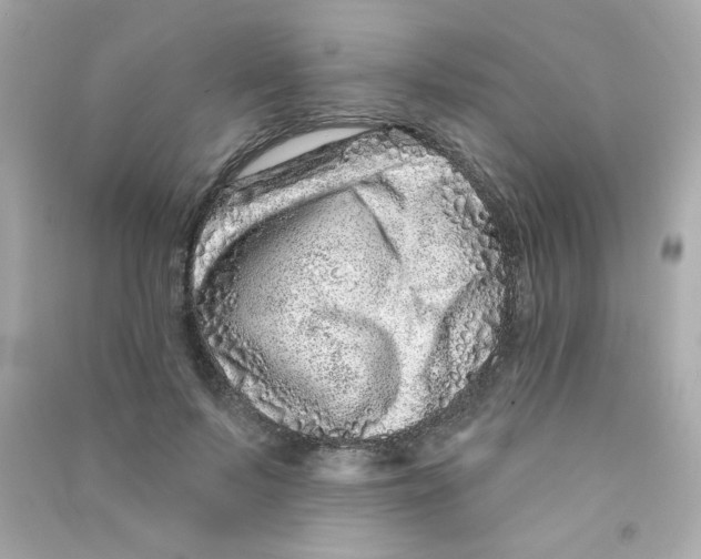 X0000090500695200708102241
