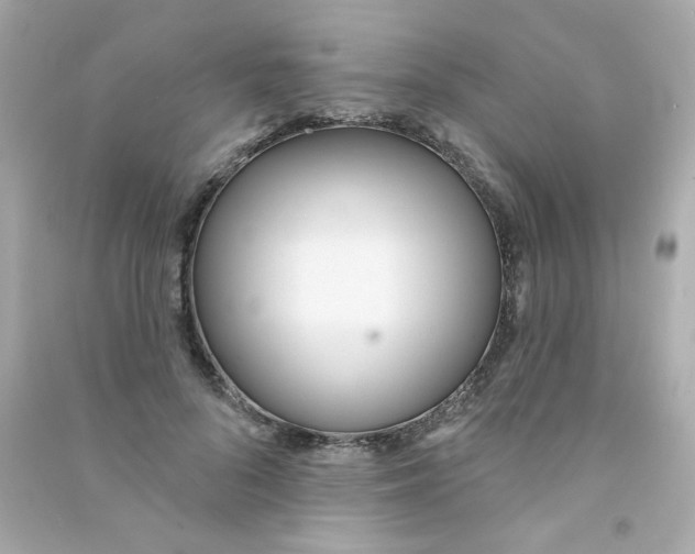 X0000090500696200708102241