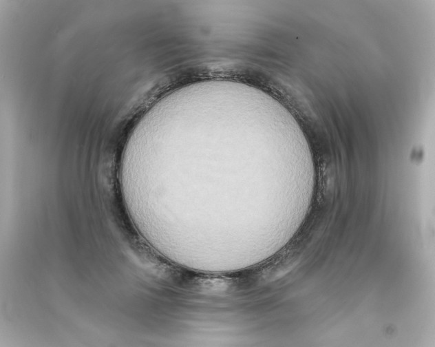 X0000090500698200708102241